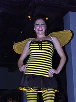 Bee 1